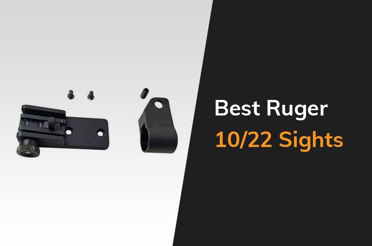 Best Ruger 10 22 Sights